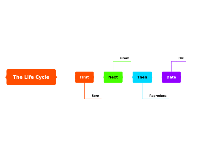 The Life Cycle Mind Map